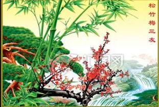 描写松竹梅岁寒三友的古诗,描写夏天的古诗句子,描写雪的古诗句子