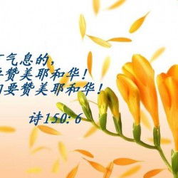 关于赞颂草的诗句