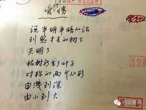 诗句,幸福,爱情
