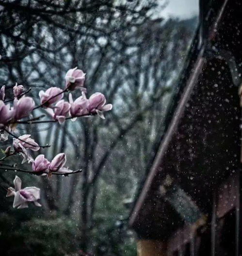 关于墨色的诗句