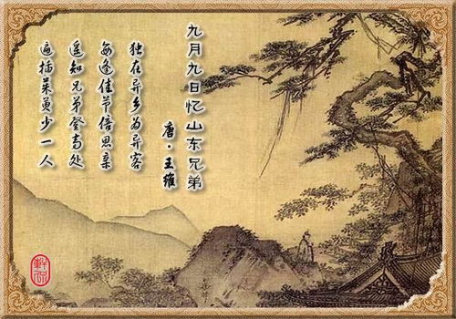 思乡,古诗,句子,作者