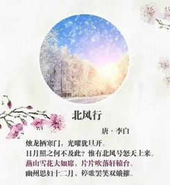 古诗句中的夸张