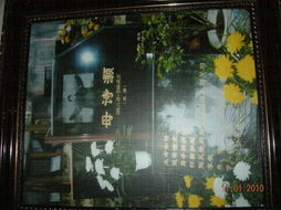 诗句,学校,体育