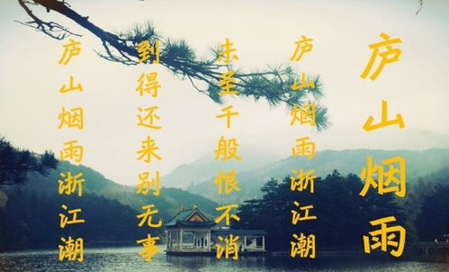 诗句,迷茫,表达