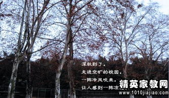 描写学校景色的古诗句
