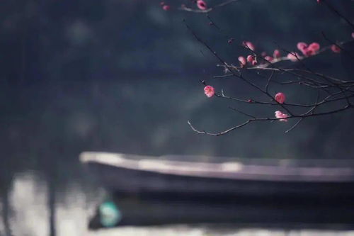 诗句,唯美,凌晨