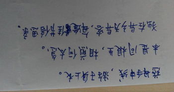 关于体现亲情的诗句或名言