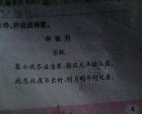 写人的古诗诗句是什么意思是什么