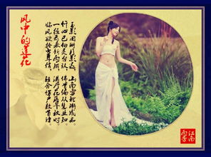 仓央嘉措关于树的诗句