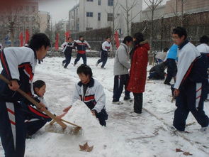 关于同学们打雪仗堆着雪人的诗句