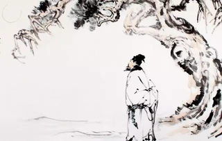 苏轼的关于花的诗句
