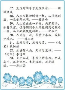 表达作文出现的古诗句