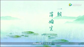 关于节气的谚语诗句