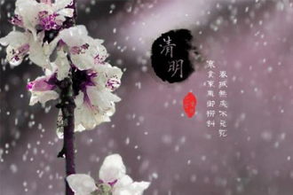 晶晶有发的古诗句