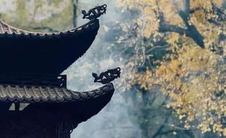 等他,诗句,回来