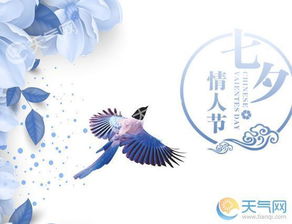 七夕的诗句古诗小学