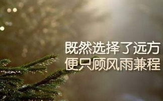 关于贫困使人奋斗的诗句