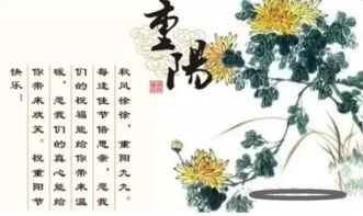重阳有关酒的诗句古诗