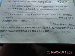 古诗句填空有答案