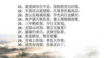 初中古诗句重点句子