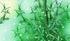 关于竹子的的诗句是什么意思