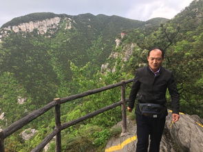 攀登险峰的古诗句