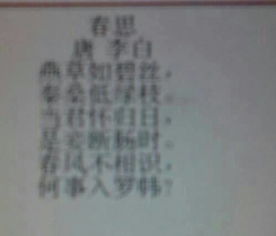诗句,诗中,带有