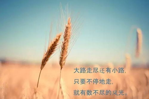 关于自律励志的诗句