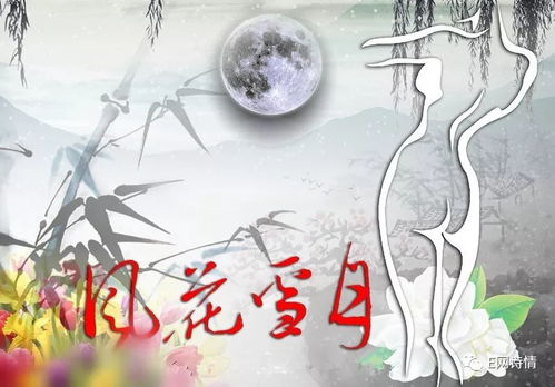 古诗中的风花雪月诗句加注释评点