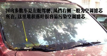 关于时光与落叶的诗句