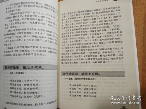 诗句,文中,高中生