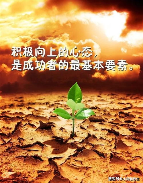 诗句,拼搏,能量