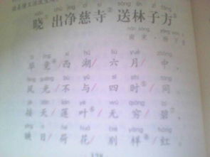 描写夏景色的古诗句