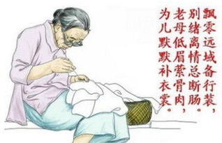 两句,诗句,母亲,有哪些