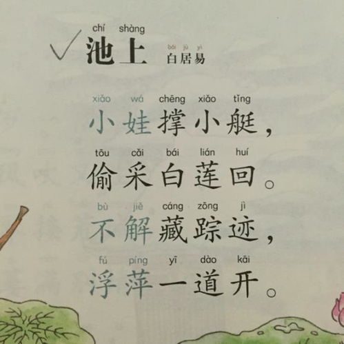 诗句,诗人,情感