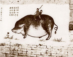 关于完美大象的诗句