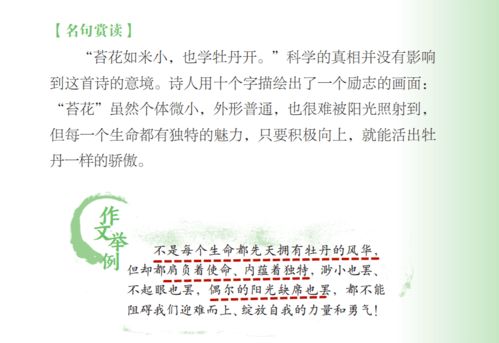 关于个人感情问题的诗句