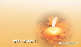 老师情谊的诗句古诗