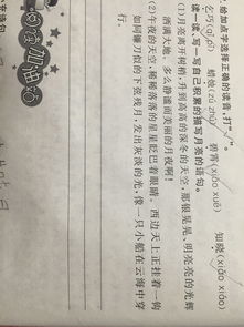 被质疑的古诗句解释