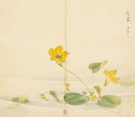 诗经关于花草的诗句