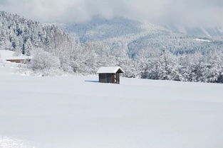 小学课本必会关于雪的诗句