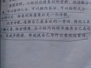 帮我,诗句,下雨,找到