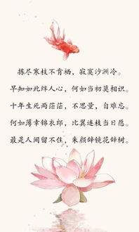 形容彻底绝望的古诗句,绝望的古诗句子,绝望心寒的古诗