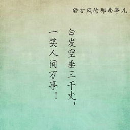 关于我最喜欢的诗句