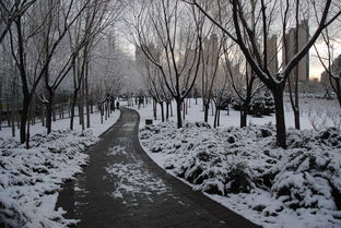关于三月飘雪的诗句