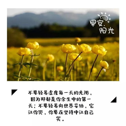 积极向上文艺的古诗句