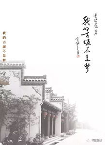 关于台儿庄的诗句