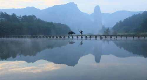 关于鼎湖峰风景的诗句词句
