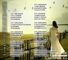 诗句,亲情,感动