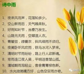 小学毕业给同学的赠言古诗,小学毕业古诗赠言,小学毕业必背古诗